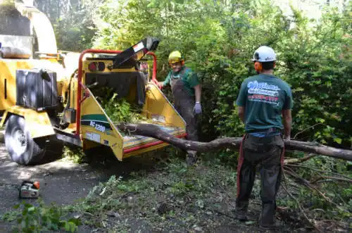 tree services Tallula